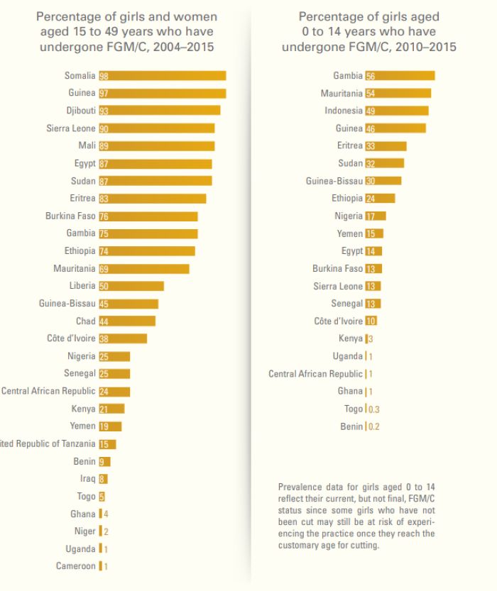 Female Genital Mutilation (FGM) by Countries and Statistics on Female Genital Mutilation FGM