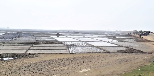 The salt bed of Matarbari, Cox’s Bazar