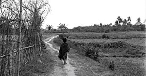 Pather Panchali-The Apu trilogy-1955 film: A Review and Analysis