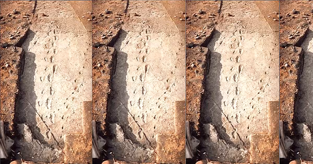 Footprints in the Ashes of Time by Mary D. Leakey