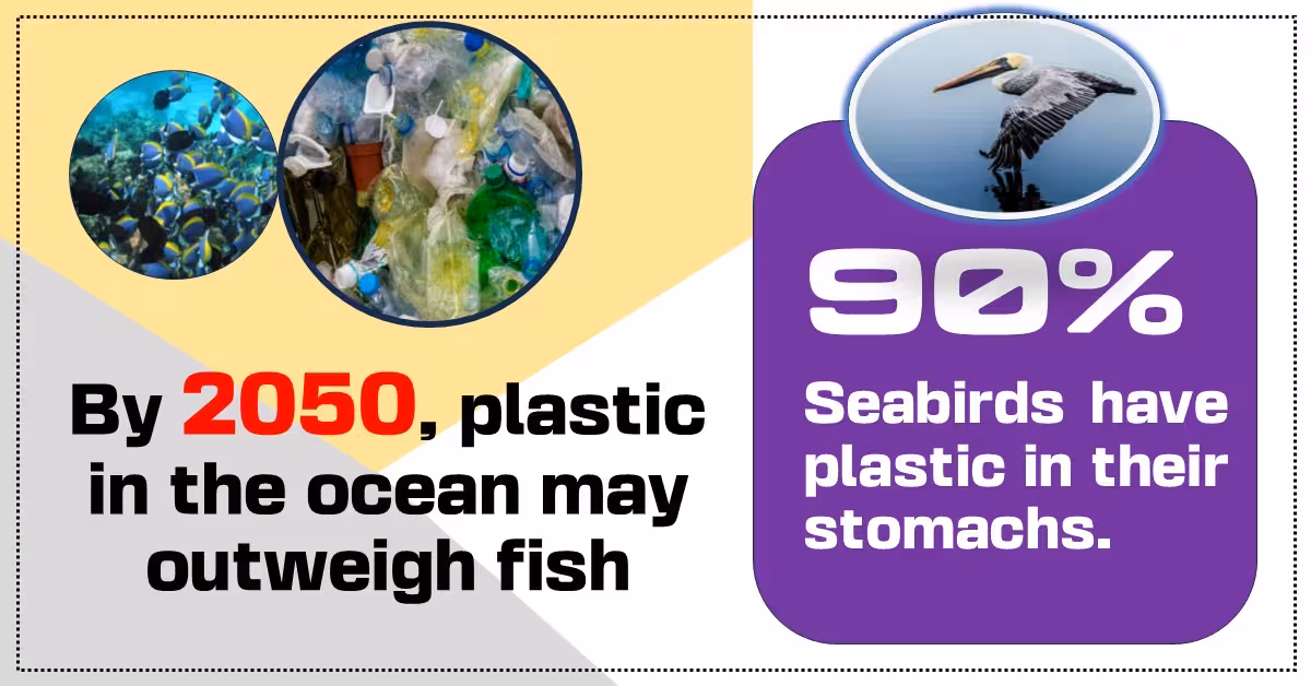An infographic highlighting the impact of plastic pollution on marine life. On the left side, it states, "By 2050, plastic in the ocean may outweigh fish," with images of colorful fish and plastic waste. On the right side, a purple section shows "90% of seabirds have plastic in their stomachs," accompanied by an image of a seabird standing on water.