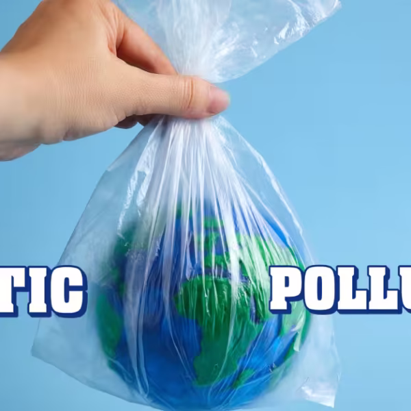 Plastic Pollution and Dangerous Impacts of Microplastics and How 400 Million Tons of Plastic Is Killing Our Planet
