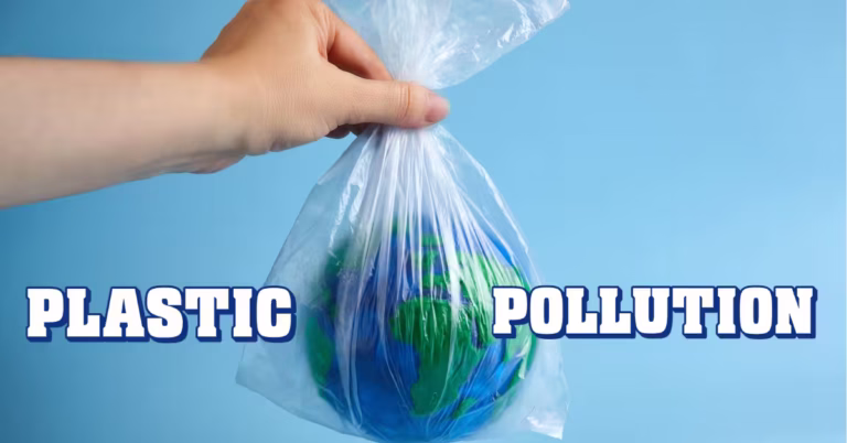 Plastic Pollution and Dangerous Impacts of Microplastics and How 400 Million Tons of Plastic Is Killing Our Planet