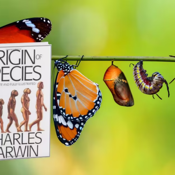 10 Reasons Why Origin of Species is Still the Most Powerful Science Book
