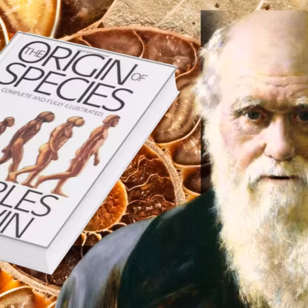 The Ultimate Breakdown of The Origin of Species – From Confusion to Clarity-2025