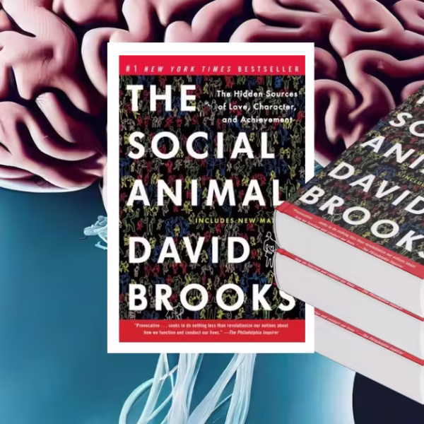 The Shocking Lessons in The Social Animal (2011) by David Brooks You Need to Know Today