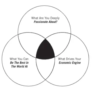 Three circles of hedgehog concept