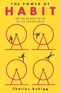 The Power of Habit by Charles Duhigg converted