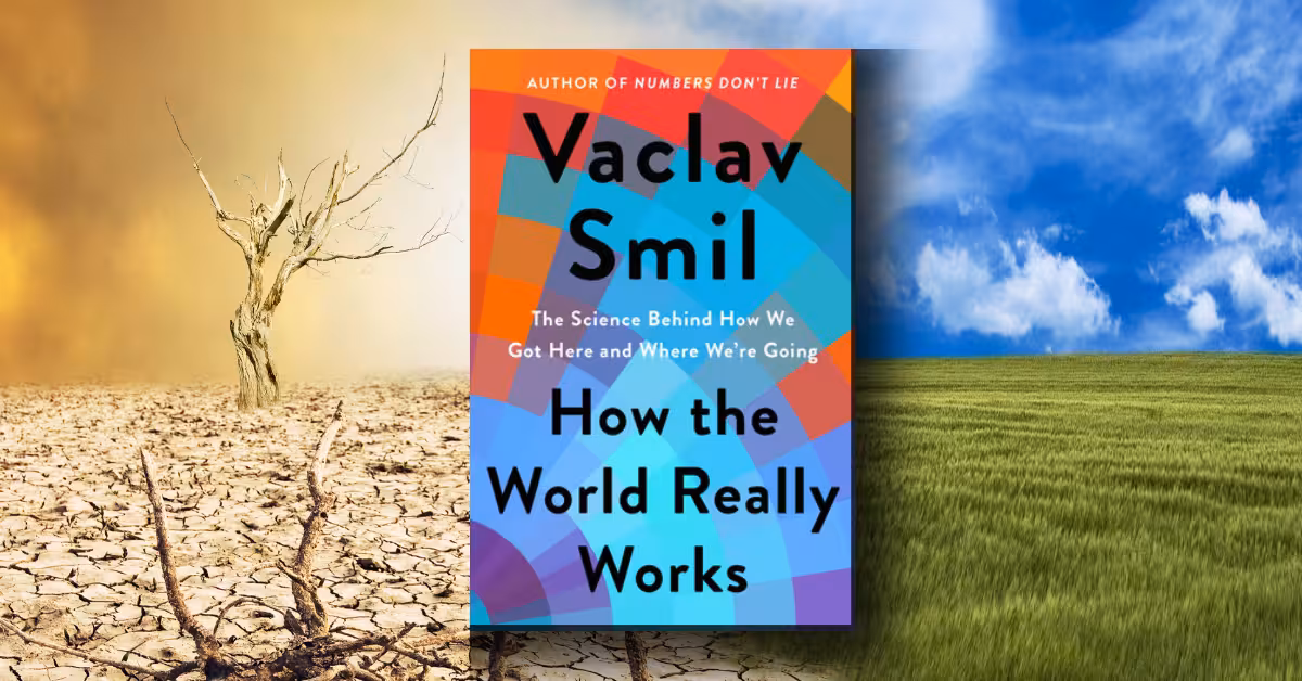 How the World Really Works by Vaclav Smil review