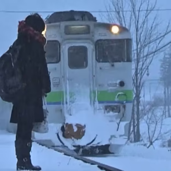 Kana Harada and the Kami-Shirataki “Station Girl”: What Really Happened—and Why It Still Matters