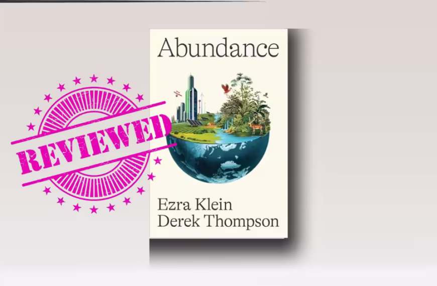 Abundance by Ezra Klein review