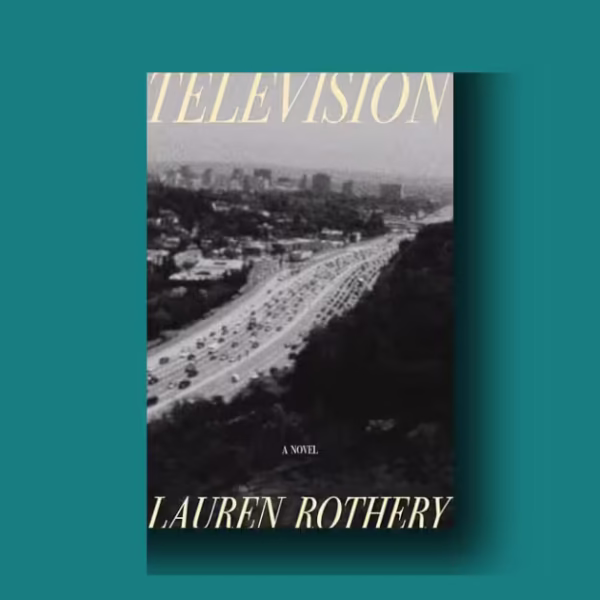 Television by Lauren Rothery review – why this daring debut stuns