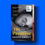 The Promise by Damon Galgut Review